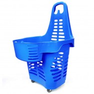 Carrelli spesa e Trasporto interno