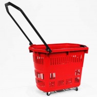 Carrelli spesa e Trasporto interno